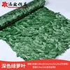 Dark green ivy leaves