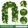 Rubber leaf vines