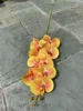 สีเหลือง