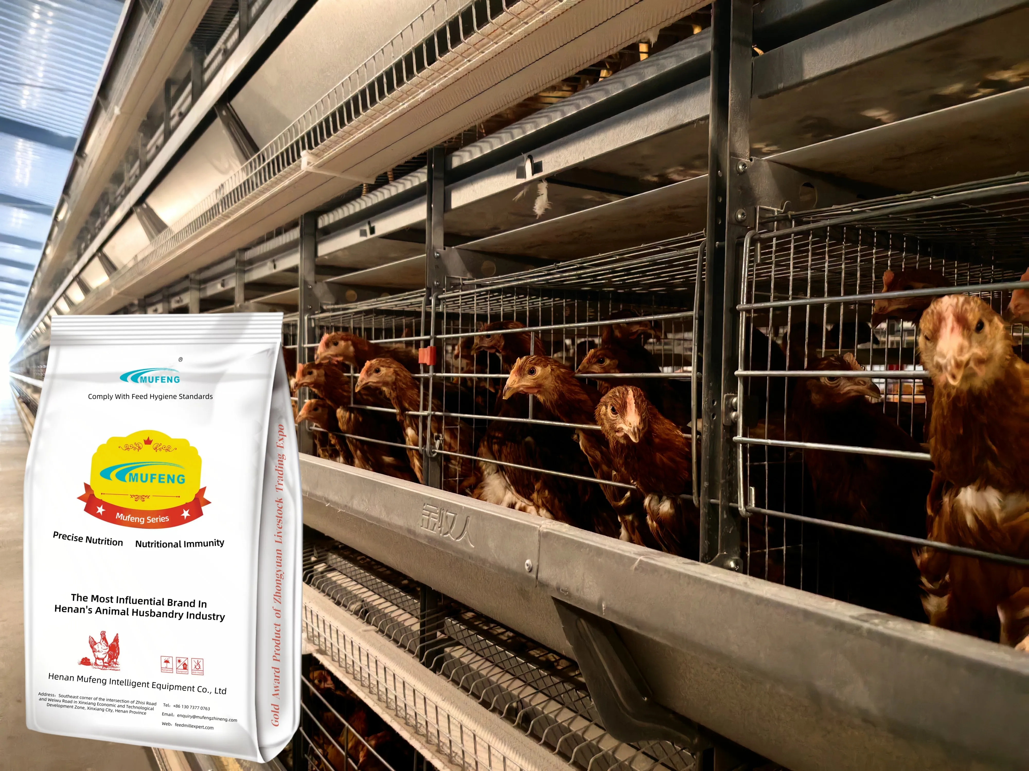 Mufeng Poultry Feed Additive Premix for Layer  Chicken Livestock Supplement Vitamin