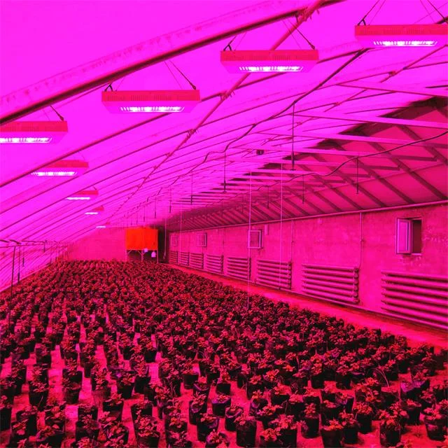 herb greenhouse