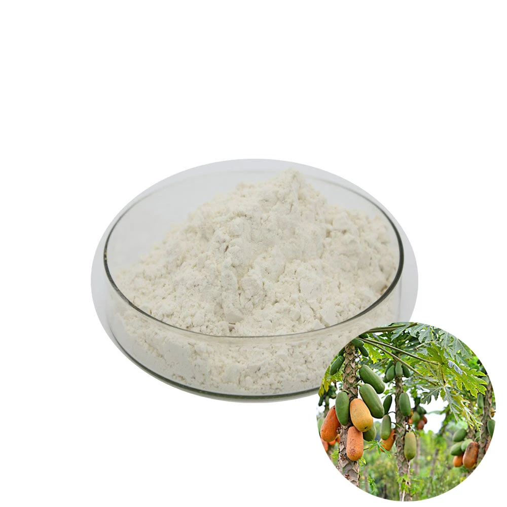 Spray Dried Green Papaya Juice Powder With Papain Enzyme Powder Buy Papain Enzyme Powder,Dried