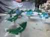 Little Dolphin