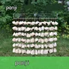 Panji