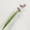Testa rosa a molla singola a farfalla