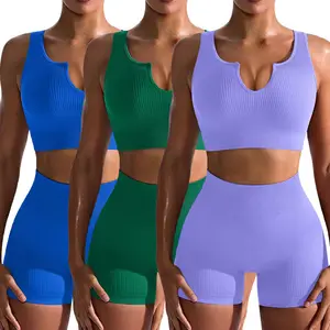 2026 New Yoga Workout Set Women Breathable Ribbed Crop Top Elastic Waist Stretchy Shorts Solid Plus Size Moisture-Wicking