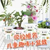 Cherry Radish Planting Kit