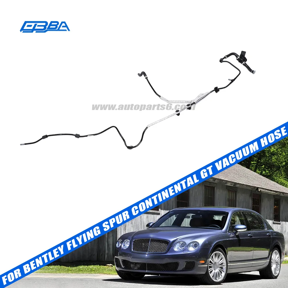 벤틀리 플라잉 스퍼(2009) 및 컨티넨탈 GT용 정품 자동차 부품 진공 호스, OE 번호 3W1612041AG