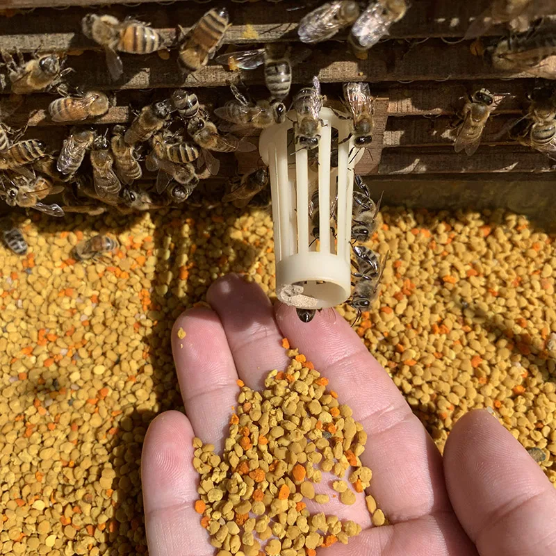 Как принимать пчелиную пыльцу в гранулах