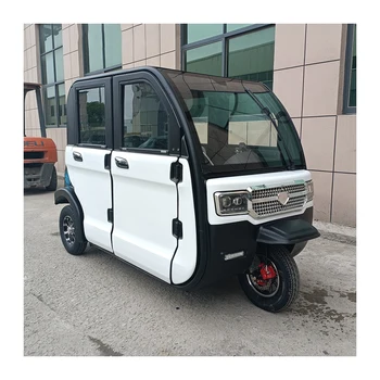 Transportation Electric Tricycle with Rear Axle for Teenagers / 1 Piece Adult Delivery Car 1000W Motor Enclose Electric Tricycle