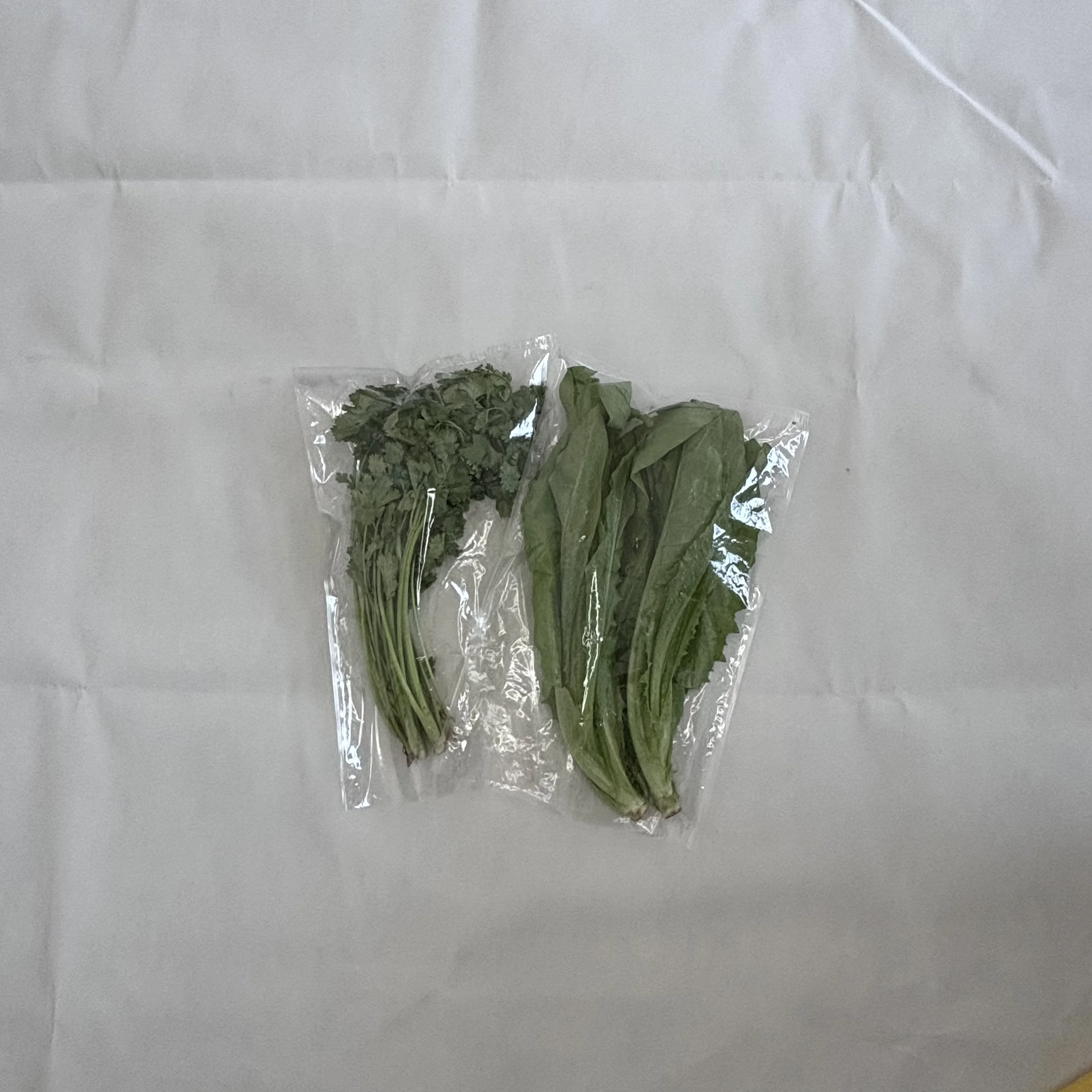 Can Extend the Fruit and Vegetable Preservation of Plastic Food Bag Selection of Gas Through the Film Food Bag