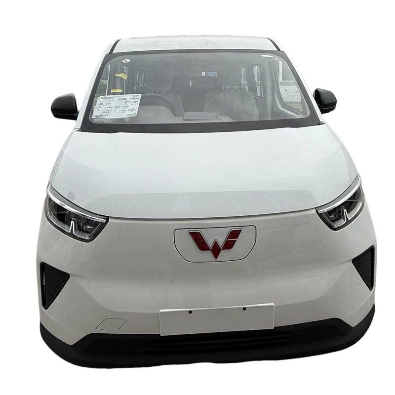 Only RHD Wuling Pure Electricity Van Passenger Bus 7-14 Seats with Right Steering EV Motor