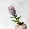 Une branche violette