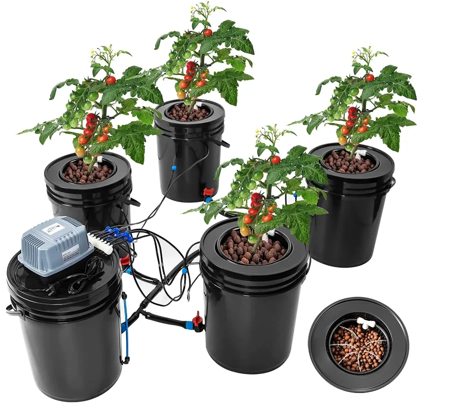 Dwc Hydroponics 5 Gallon Bucket System Indoor Plant Growth Buy Dwc
