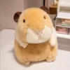 Khaki dutch pig