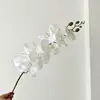 01-Blanco