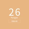 -#26_Pongee