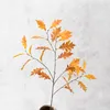 Orange-red branch
