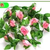 Rosa de nueve cabezas, rosa intenso