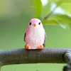 Uccellino rosa-rosso