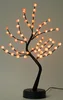60l small rose-black branch-warm light