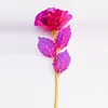 Fleur dorée colorée [rouge rosé] 50x15 cm