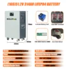 Batterie LiFePO4 51,2 V 314 Ah