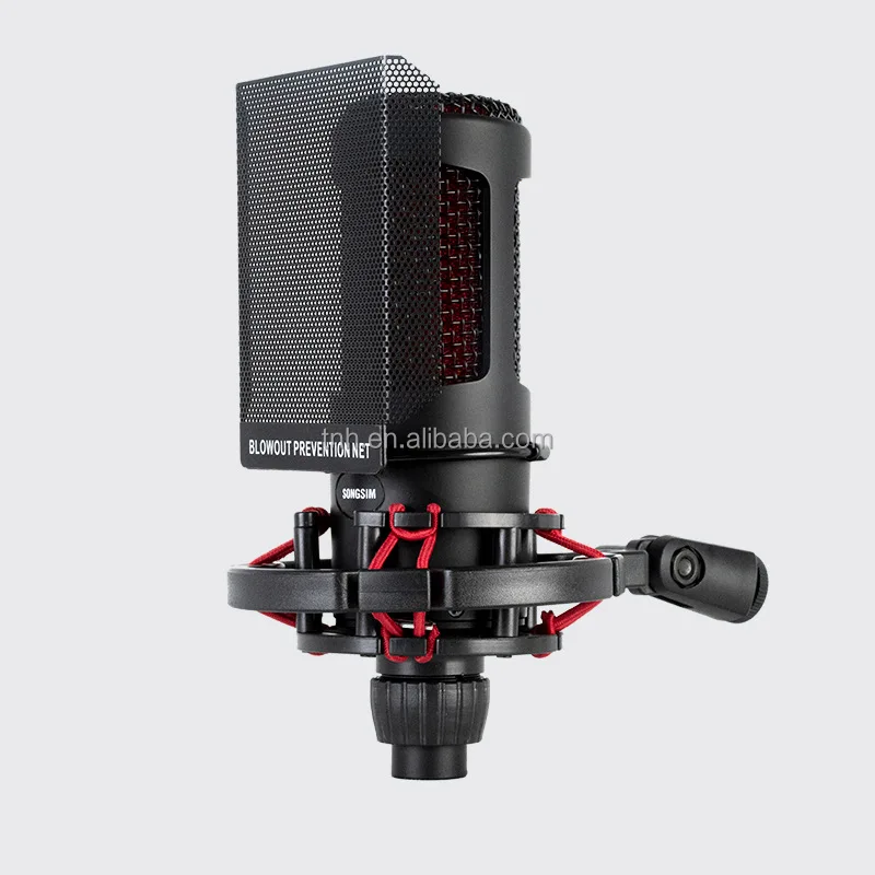 TNH CM- ZX2020 Condenser Microphone Studio Recording Mic Computer