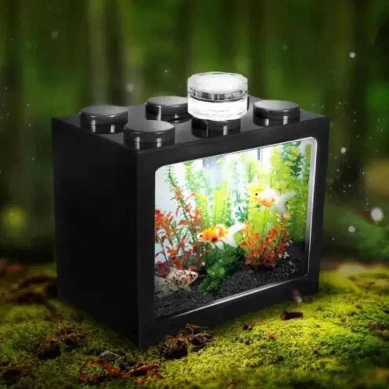 build live fish box Kisangel Portable Transparent Viewing 4.92X4.33X1.49In Lightweight Aquarium Fish Breeding Container Small Betta Tank for Desktop Observation and Care : Pet Supplies Poly live bait tank build