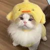 Chick hat