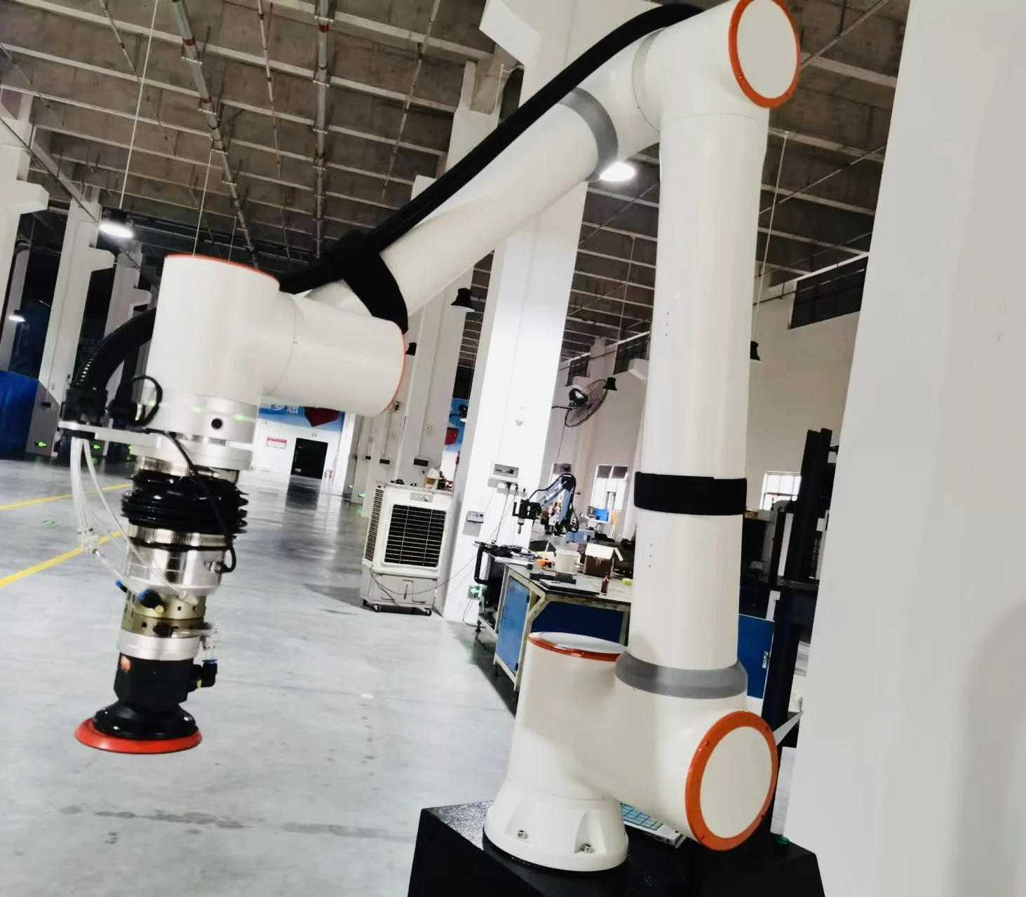 Best Collaborative Robots in Manufacturing 30KG Palletizer