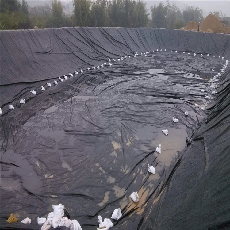 Reinforced Heavy Pond Liner HDPE Geomembrane for Fish Farming in Thailand