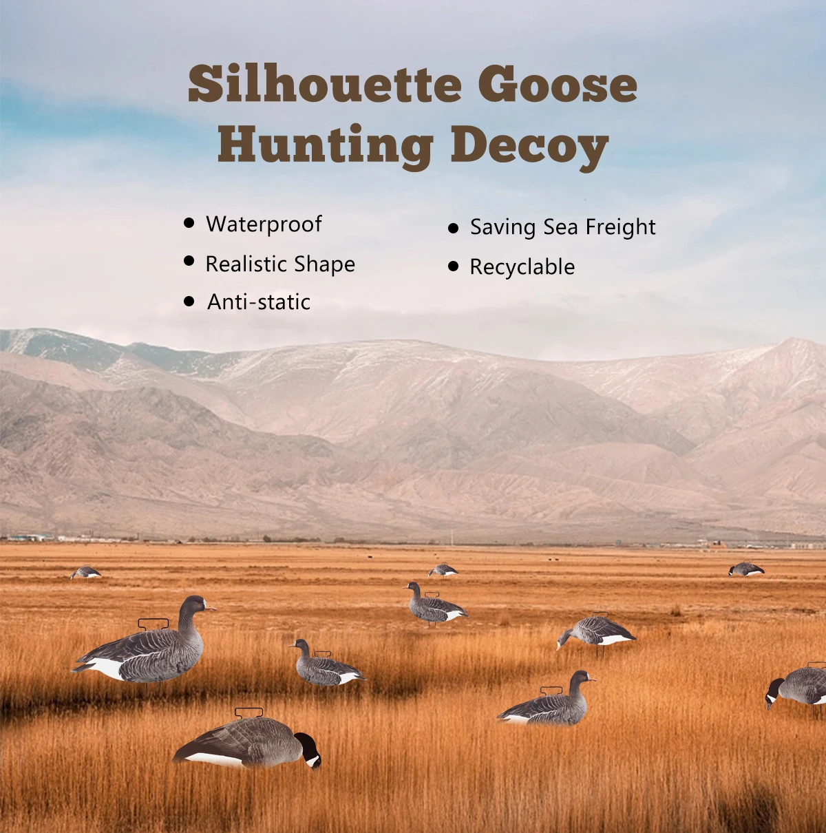 Wholesale Oem Odm Custom Plastic Lifelike Antireflective Pp Silhouette