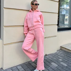Pink Lady 2 Piece Sweatshirts and Pants Suits Winter Fleece Thick Sports Tracksuits Womens Outfits Zipper Hooded Two Piece Sets