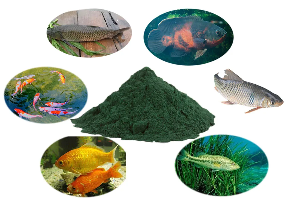 Animals Feed Spirulina In Poultry,Spirulina Powder Feed Grade For Horse