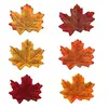 6 couleurs mélangées