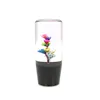 Cuerpo transparente con flores secas naturales de colores + base negra