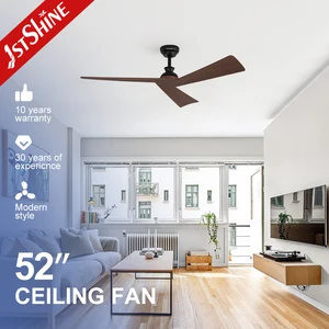 1stshine Ceiling Fan Manufactur Nordic Modern ABS Blades DC Motor Quiet Smart Ceiling Fan With Remote