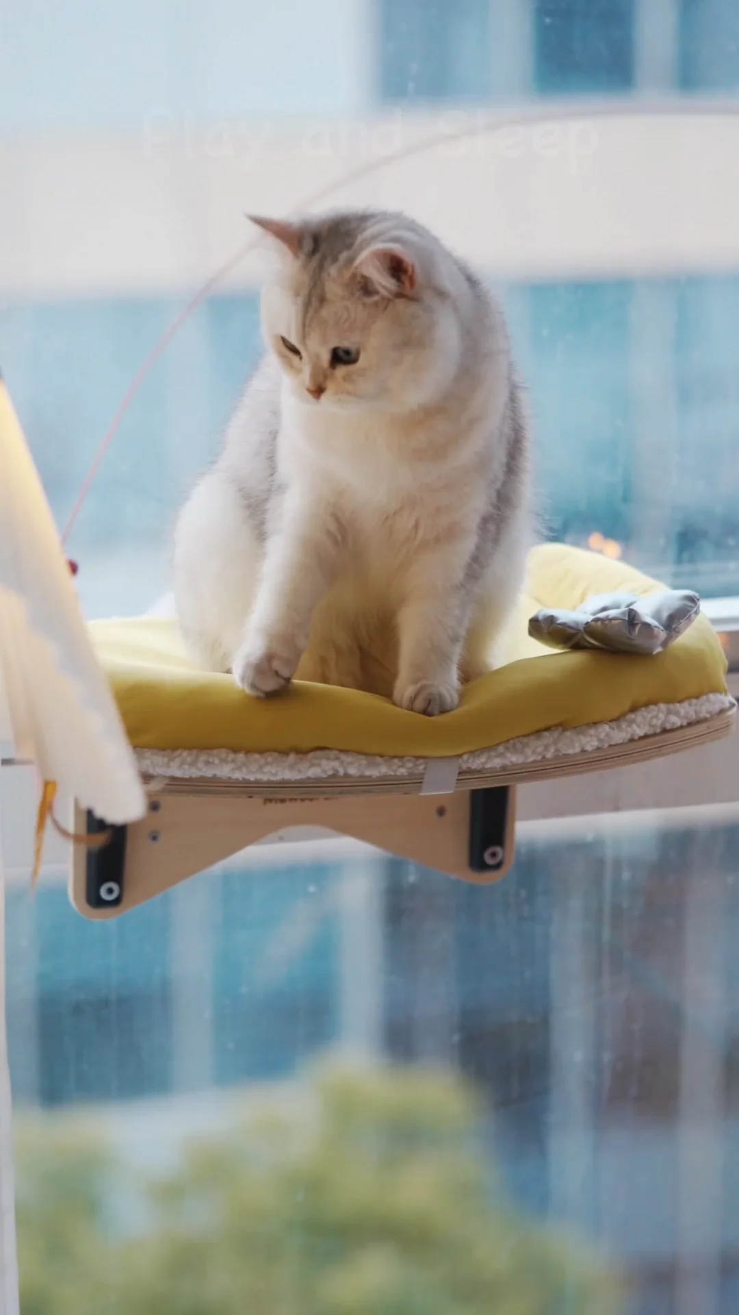 Radiator Hammocks For Cats at Mark Koehler blog