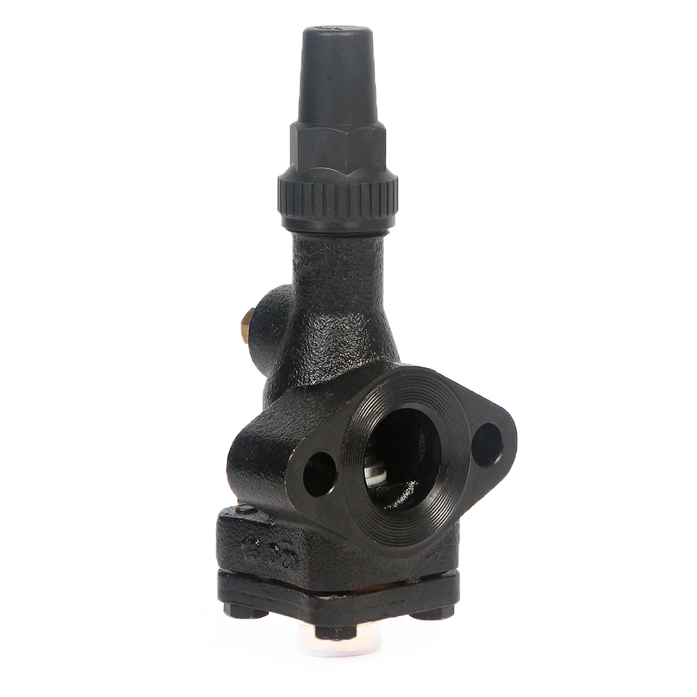 High Quality Factory Supply Copeland Compressor Cast Iron Check Valve