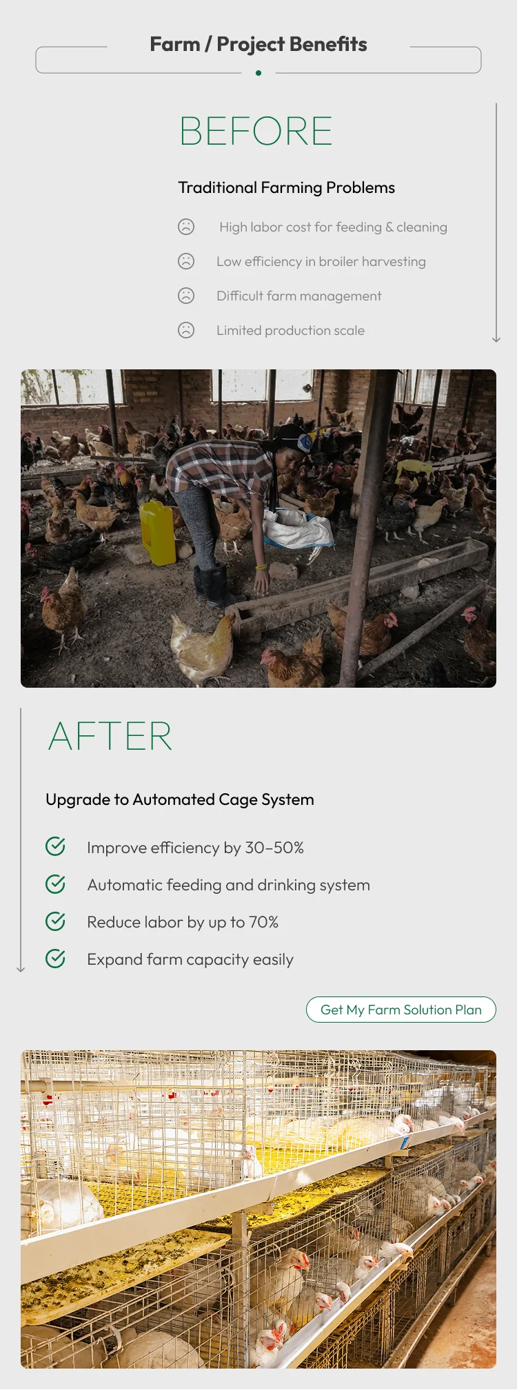 H-Frame Automatic Broiler Cage