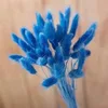 Couleur Royalblue