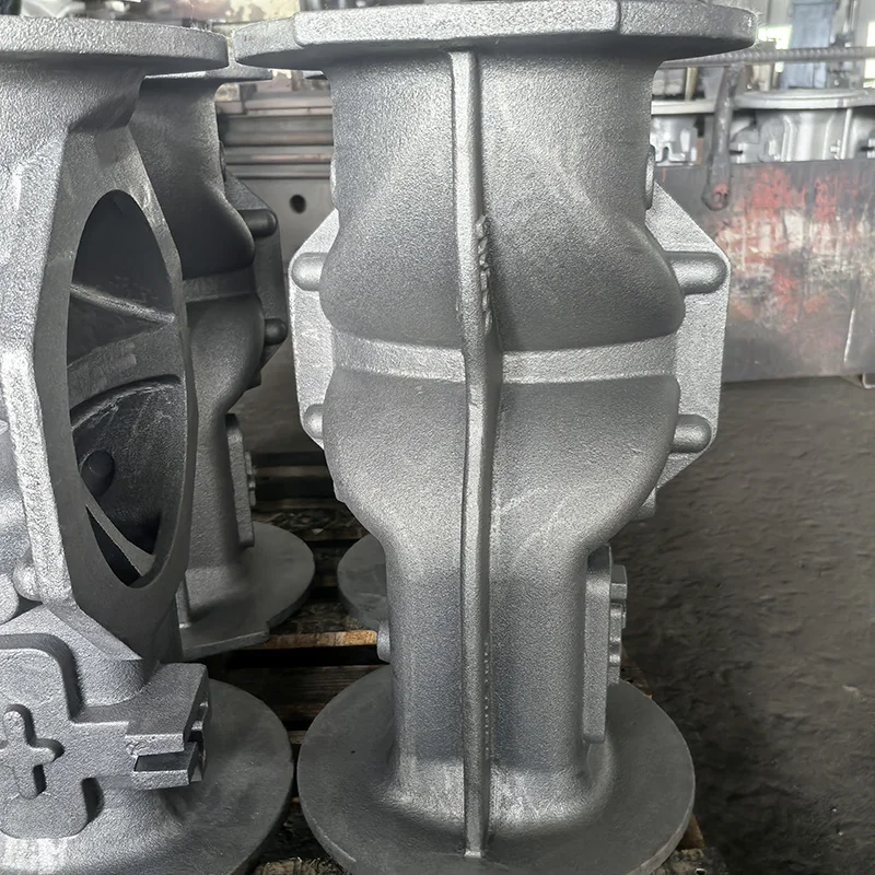 Custom Sand Casting Service Grey Iron and Ductile Iron Casting Parts Pump Body factory