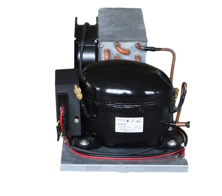 BD65HC Small Portable DC12V 24V Condensing Unit for Freezer Fridge Dehumidifier With Temperature Control