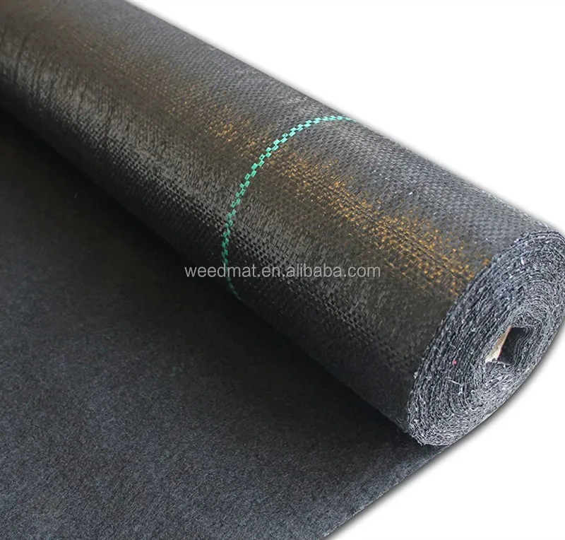 81GD-7DGUQL._AC_SL1500_