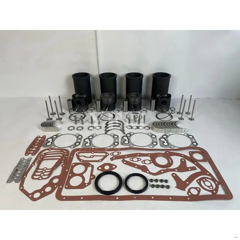 Hot Sale New Rebuild Kit With Valves Engine Bearings Cylinder Liner Piston Rings Full Gasket Kit For Liebherr R914