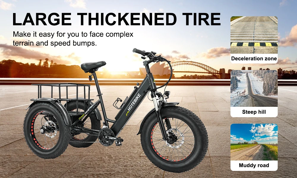 Shuangye 3 Wheel Electric Bike Fat Tire Electric Bike 20 26 Inch 36v