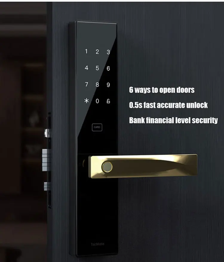 S2 Digital Door Lock With Keypad And Fingerprint European Standard Top