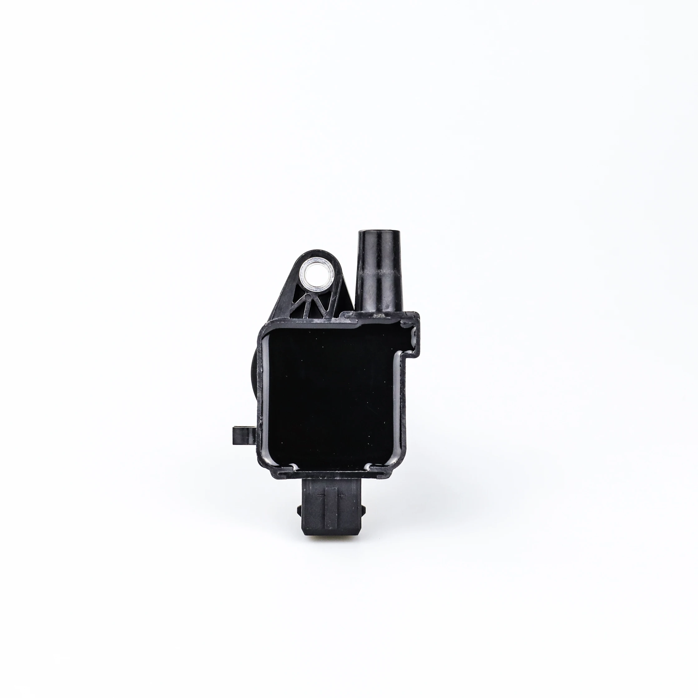 Ignition Coil - F01R00A045