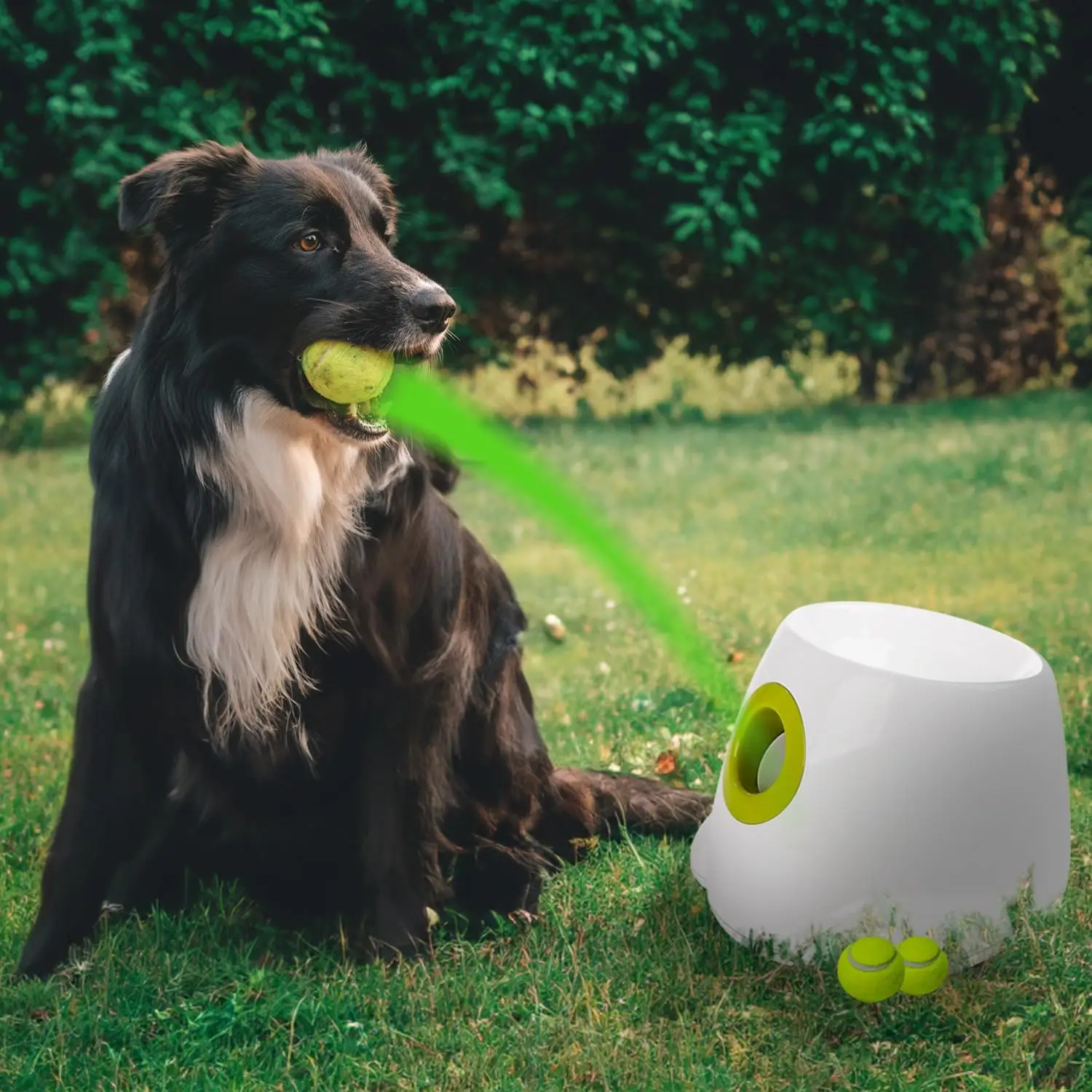 Tennis Ball Best Toys For Hyper Dogs Advwin Automatic Dog Ball